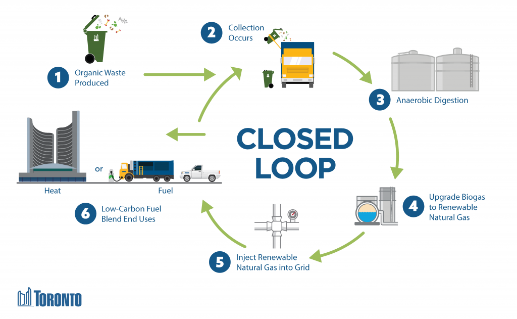 Circular model showing how waste can ultimately be used to fuel the trucks that collect it or other City fleet or be used to heat City facilities. In step one organic waste is produced; in step two organic waste is collected; in step three organic waste is processed through anaerobic digestion; in step four the biogas produced from processing organics is upgraded to renewable natural gas; in step five the renewable natural gas is injected into the natural gas grid; in step six the low-carbon fuel blend (a mix of the RNG and natural gas the City buys) is used to fuel City vehicles and heat City facilities.