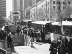 Crowds of people getting on busses.